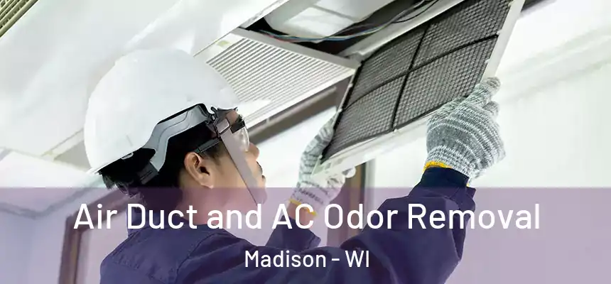 Air Duct and AC Odor Removal Madison - WI