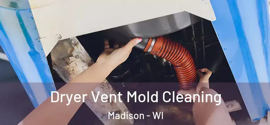 Dryer Vent Mold Cleaning Madison - WI