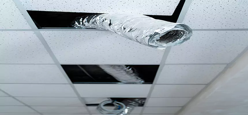 Our Air Duct Pet Hair Removal Services in Madison, WI