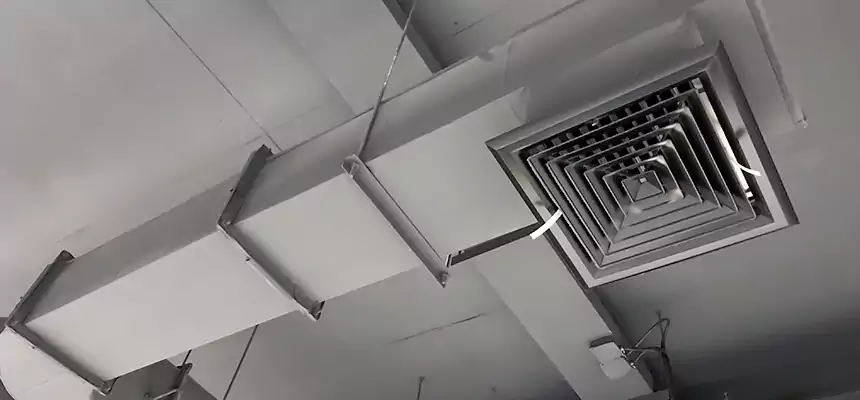 Our Pest Removal From Ducts Services in Madison, WI