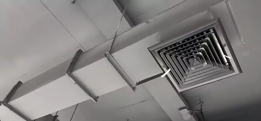 Our Rodent Droppings In Vents Services in Madison, WI