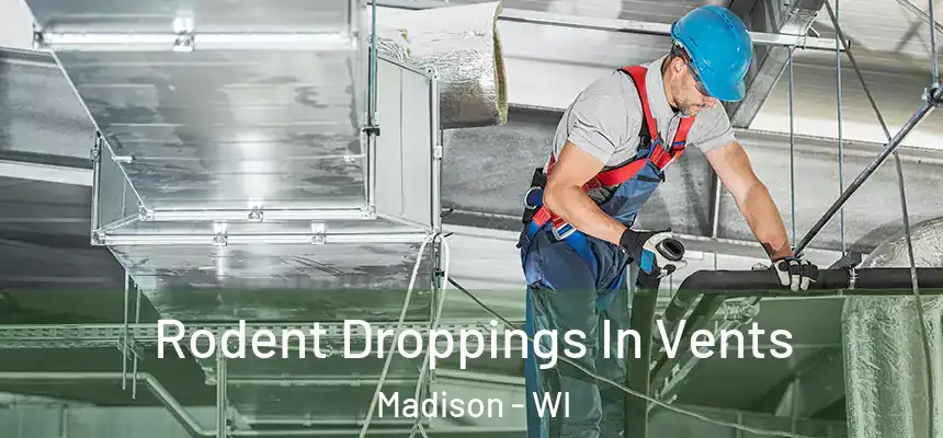 Rodent Droppings In Vents Madison - WI