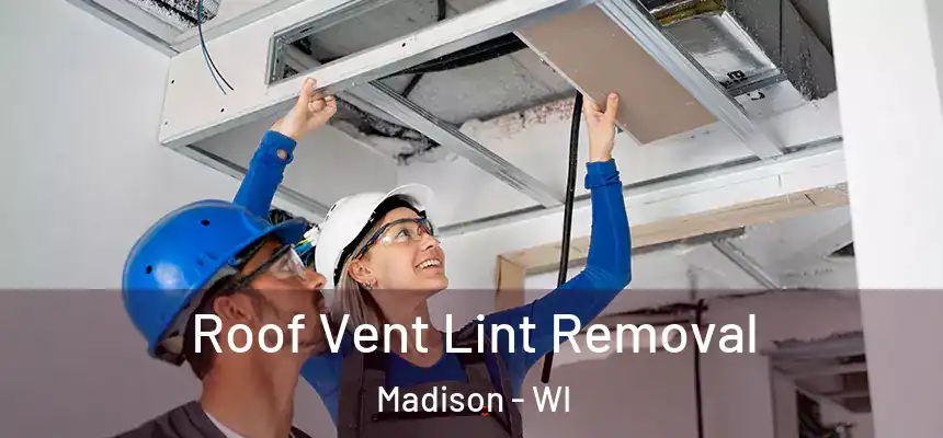Roof Vent Lint Removal Madison - WI