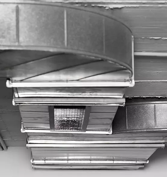 Professional Air Duct Pest Removal in Madison, WI