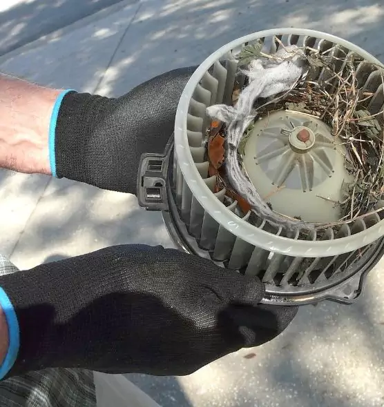 About Air Duct Rat Removal in Madison, WI