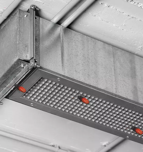 Affordable Insect Removal from Air Ducts in Madison, WI